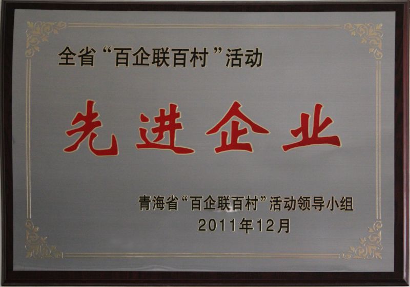 “百企聯百村活動”先進企業(yè)